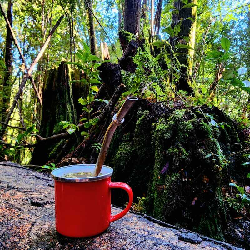 Alrededor de nuestras cabañas