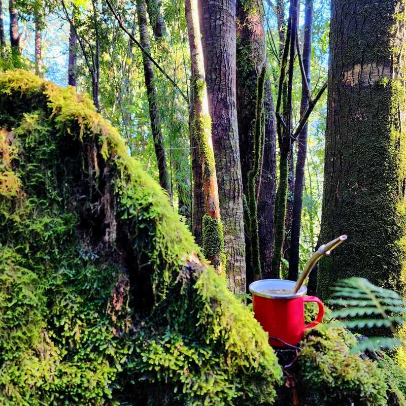 Alrededor de nuestras cabañas