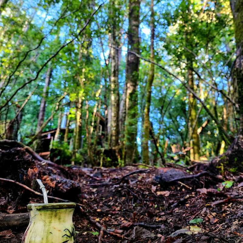 Alrededor de nuestras cabañas