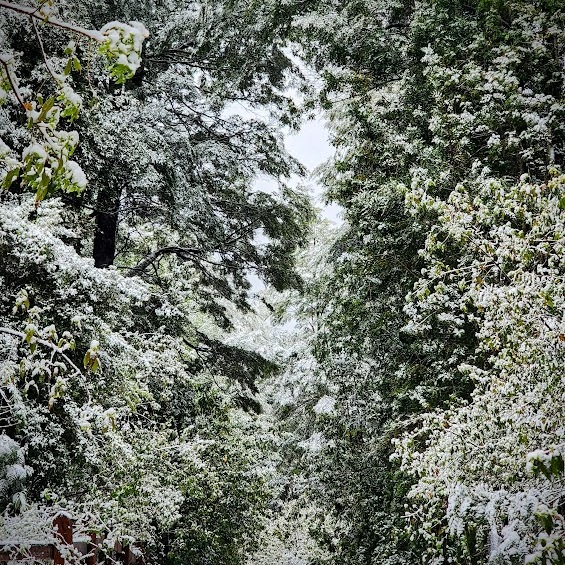 Alrededor de nuestras cabañas